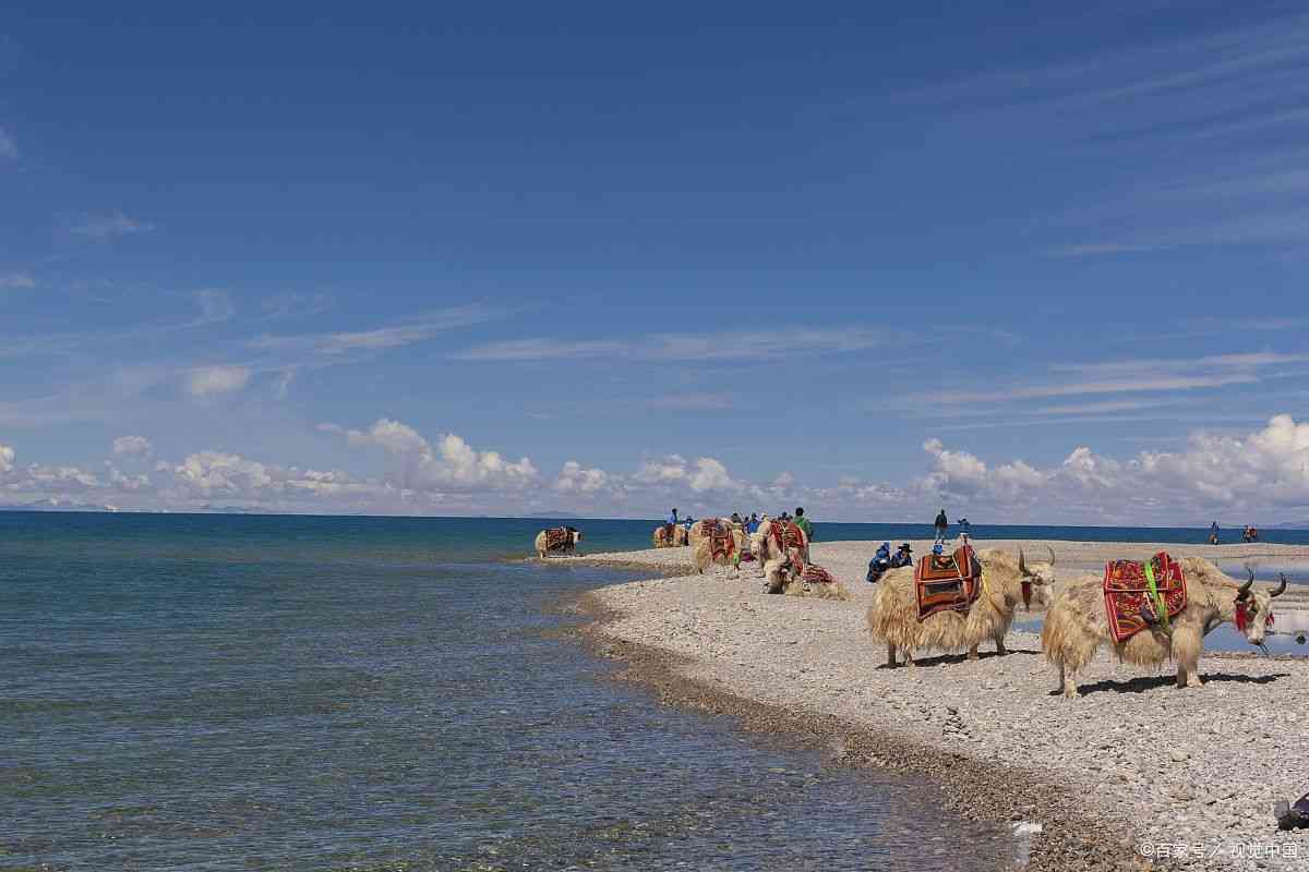 青海包车旅游正规公司有哪些公司名称